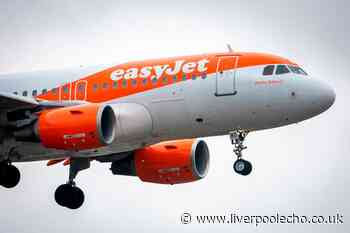 Man arrested on easyJet flight after boarding without right documents