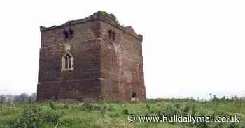 The nature reserve near Hull where I found owls flying in the daytime after rain