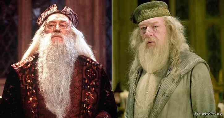 7 top contenders to play Dumbledore in the Harry Potter TV series cast