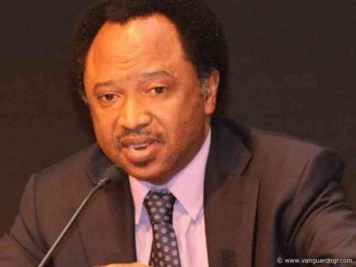 Banditry: Criticism of Matawalle, Ribadu unnecessary distractions – Shehu Sani