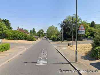 St Paul's Cray: Dogs maul two children and woman in horror attack in south-east London