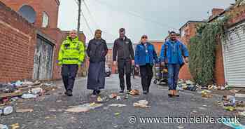 Newcastle back lanes task force promises more patrols in problem areas plagued by piles of rubbish