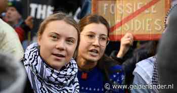 Klimaatactivist Greta Thunberg blokkeert het verkeer in Brussel en wordt opgepakt