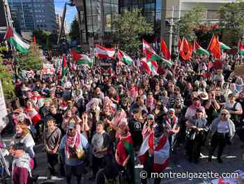 'Canada is directly complicit in this': Pro-Palestinian protest in Montreal draws hundreds