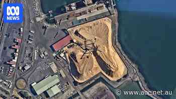 Just as the Opera House is an icon of Sydney, the city of Burnie has its landmark 'pyramids of woodchip'