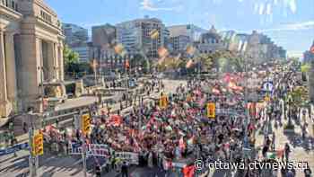 Pro-Palestinian march held in Ottawa amid global day of protests