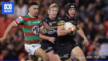 From NRL discard to integral cog, this Panthers playmaker has been to Hull and back again