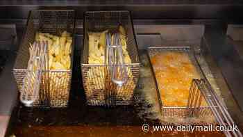 Fish and chips AND broccoli! NHS bosses insist new Welsh chippy must have fruit and veg on the menu before it can open