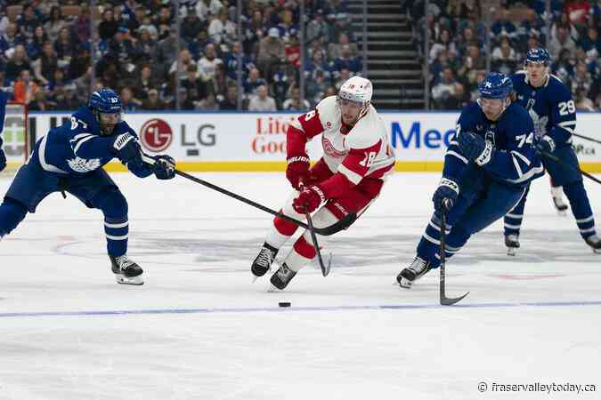 Tavares, Matthews lead Maple Leafs to 3-2 win over Red Wings