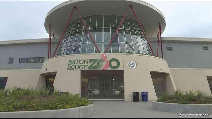 BREC'S Baton Rouge Zoo unveils new features during grand opening