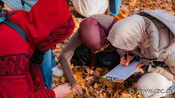 This group is breaking down barriers to nature for Muslim students — one classroom at a time