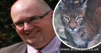 West Country dad and son stunned after 'big cat' leaps across road in front of them