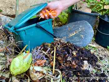 "Réseau compost citoyen" peut vous aider à gérer vos biodéchets, suivez le guide