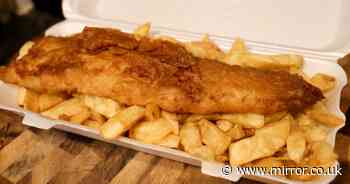 'I got monster Too Good To Go bag from chippy for £4 – it was better than Christmas'