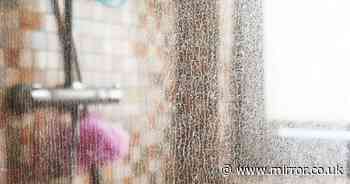 Your shower screens will be sparkling - with no vinegar - if you use 25p item