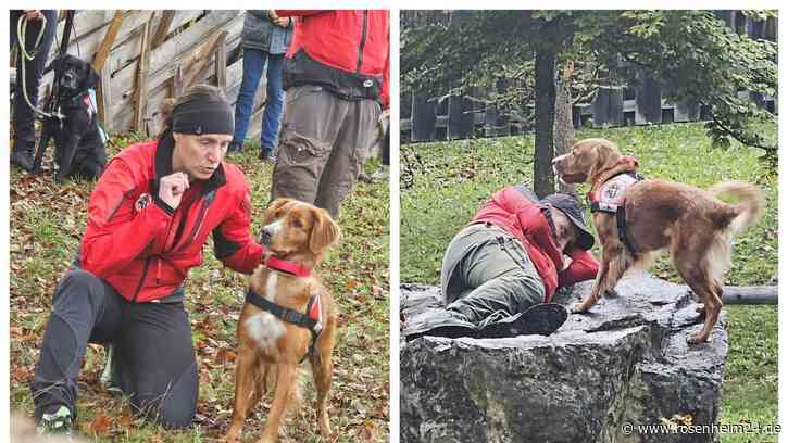 Lawinen- und Vermisstensuchhundestaffel beim Training im Nationalpark Berchtesgaden