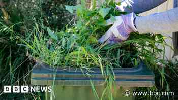 'Substandard' stickers delay garden waste scheme