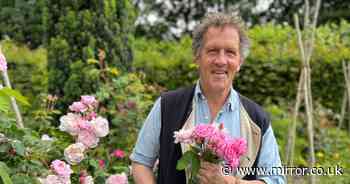 Monty Don warns gardeners have little time left to complete 'pruning' task - for 'healthy' display next year