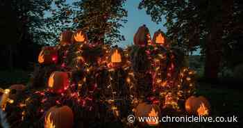 Light trail featuring over 600 pumpkins opens in the grounds of North East venue