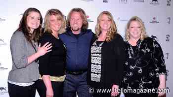 Inside the 4 Sister Wives' unconventional journey: from polygamy, 18 kids and  divorce