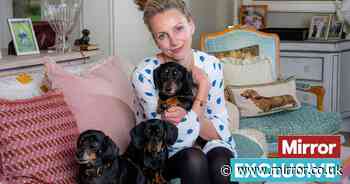 Owner of UK's first cloned dog now has three generations and 'would do it again'