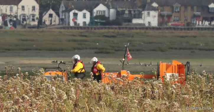 Stranded whale shot dead after no chance of rescue out of River Thames