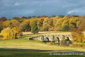 National Trust says autumn colour could be ‘mixed bag’ after wet year