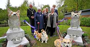 Outrage in Walsall as council spend £35,000 on corgi statues for Queen tribute