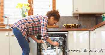 Secret dishwasher function makes filling it up so much easier and people are amazed