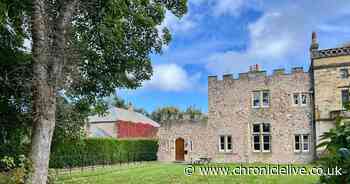 Castle for sale in County Durham surrounded by stunning nature reserve - take a look around