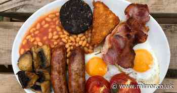 Brits horrified after finding out controversial fruit was once Full English staple