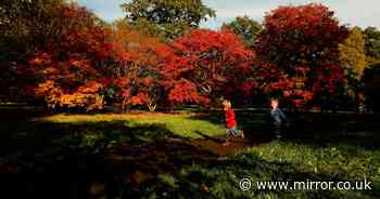 Stunning place to see 'magical' autumn leaves in the UK - and stay in cosy cottage filled with beams