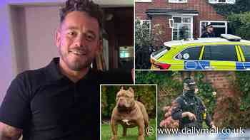 Former boxer will stand trial over the death of a father of two mauled by two XL bully dogs