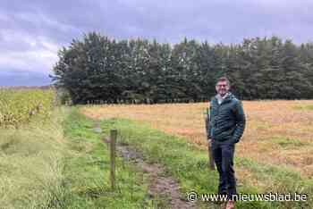 Spontaan gegroeide wandelweg wordt  officieel nieuwe trage weg en maakt wandellus compleet