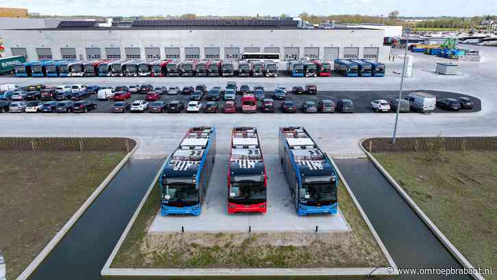 157 nieuwe elektrische bussen voor Arriva: vanaf de zomer rijden ze rond