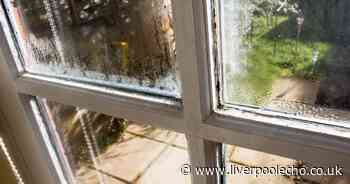 'I'm a cleaning whizz and I got rid of window condensation for just 80p'