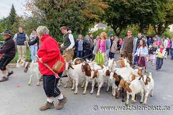 Nördlichster Almabtrieb ist in Dalhausen seit über 30 Jahren Tradition