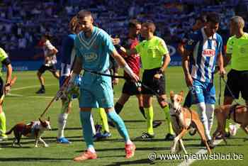 Schattige beelden uit Spanje: spelers van Espanyol komen met… hondjes het veld op