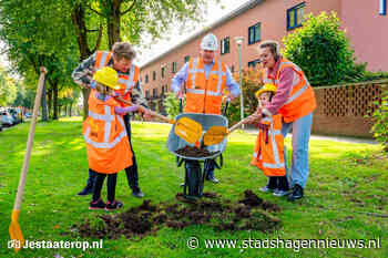 Versterking elektriciteitsnetwerk afgetrapt in Stadshagen