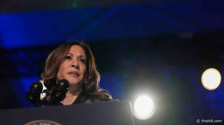 Former Florida GOP chair backs Harris after Helene 'trolling'