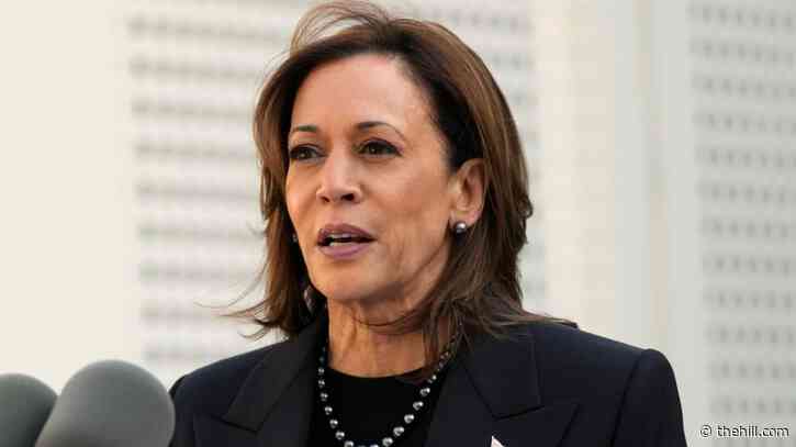 Harris Oct. 7 speech met with protesters outside VP residence