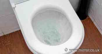 Three natural items you have at home will remove yellow toilet stains for good