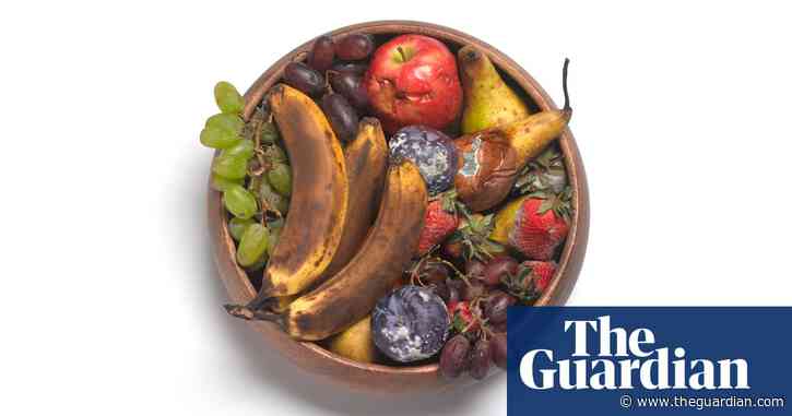 The scandal of food waste and how we can stop it