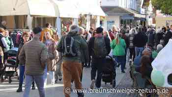 Großer Andrang beim verkaufsoffenen Sonntag in Gifhorn