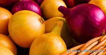 Onions will stay fresh for weeks longer if you store them in this unusual kitchen place