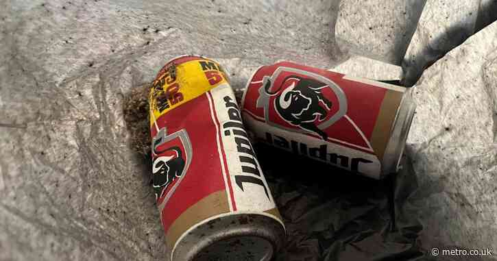 Artist’s ‘beer can trash’ artwork so good it was thrown in bin by staff