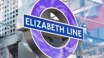 Elizabeth Line plunged into chaos after 'power cut' causes severe delays at London's biggest stations