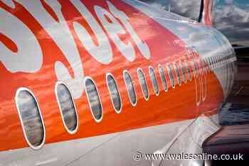 EasyJet boss says one thing adding 'hundreds of pounds' to holiday costs