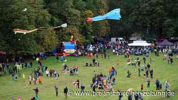 Das Braunschweiger Drachenfest steht an: Hier gibt‘s alle Infos