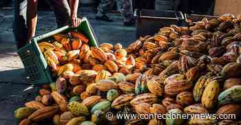 Top need-to-knows about cocoa ahead of the new season